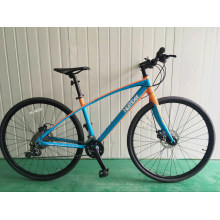 Aluminum Hot Sale Road Bike